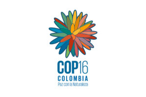 COP 16